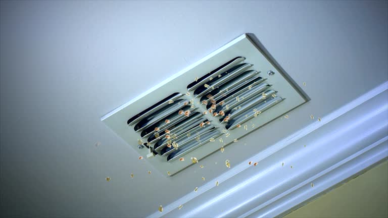 Best Local Air Duct Cleaning Services  in Eureka, CA