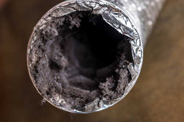 Best Ductwork Cleaning Services  in Eureka, CA